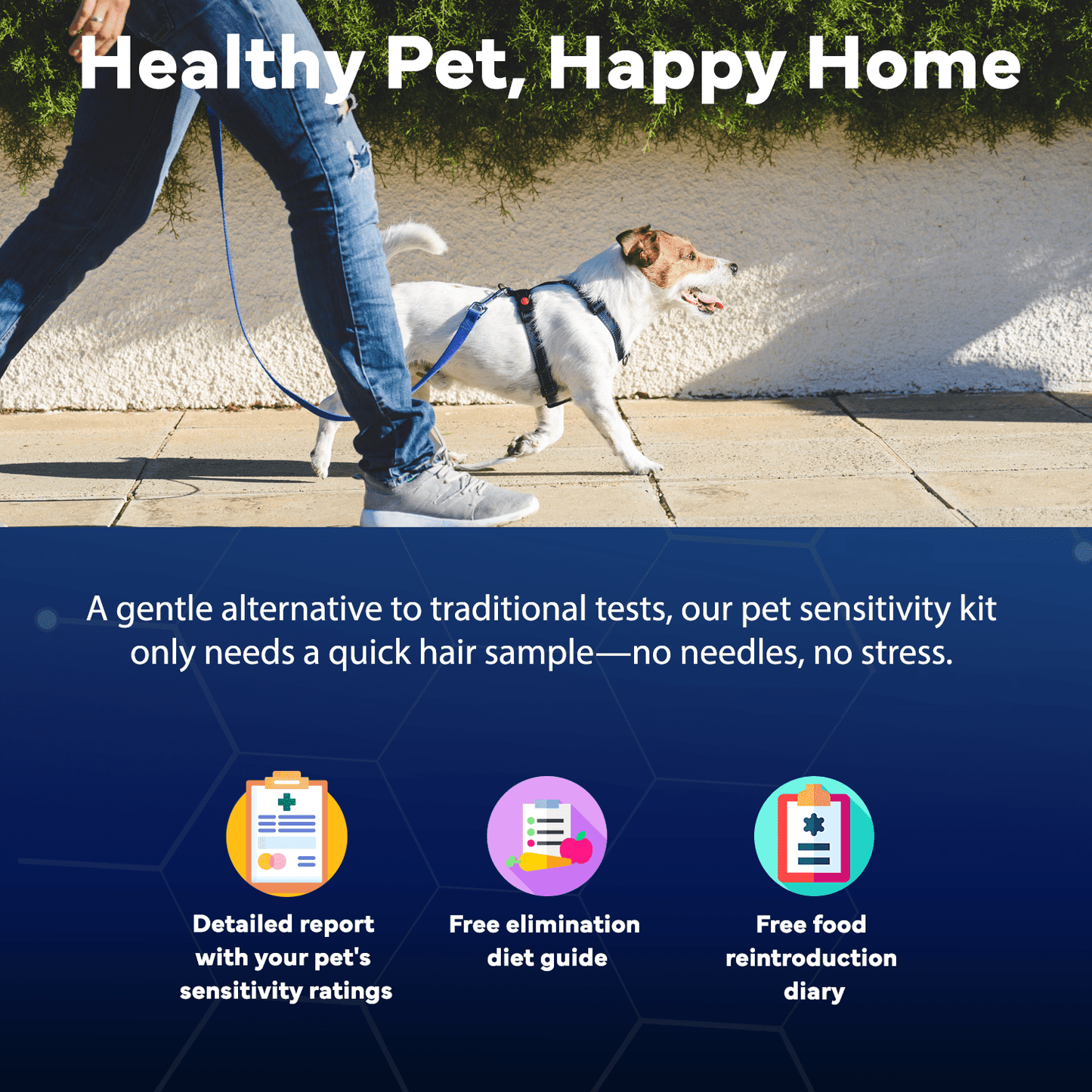 Comprehensive Pet Sensitivity Test - Better Life Science