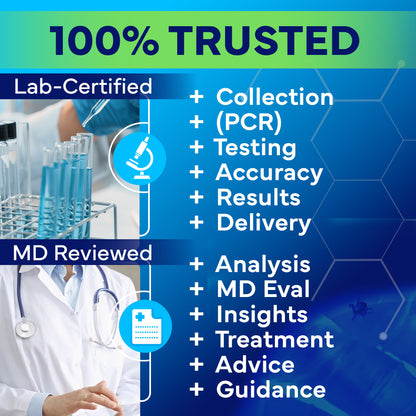 Lyme Disease Test