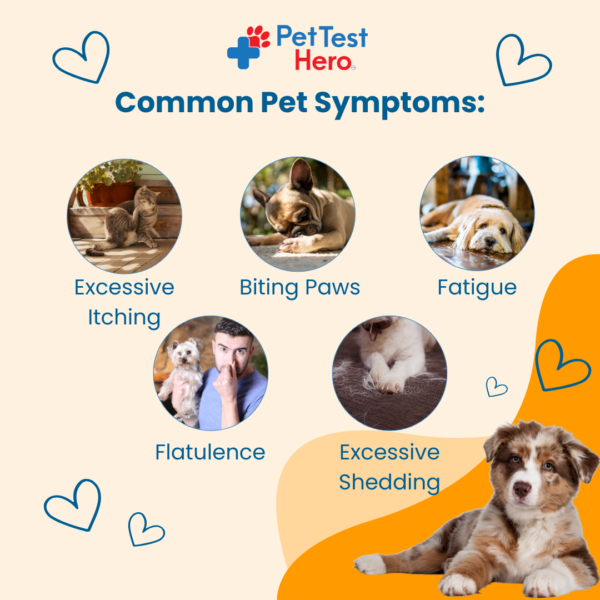 Comprehensive Pet Sensitivity Test - Image 3